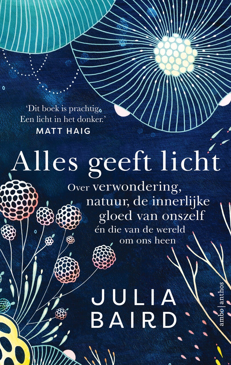 Alles geeft licht (E-book) Alles geeft licht (E-book)