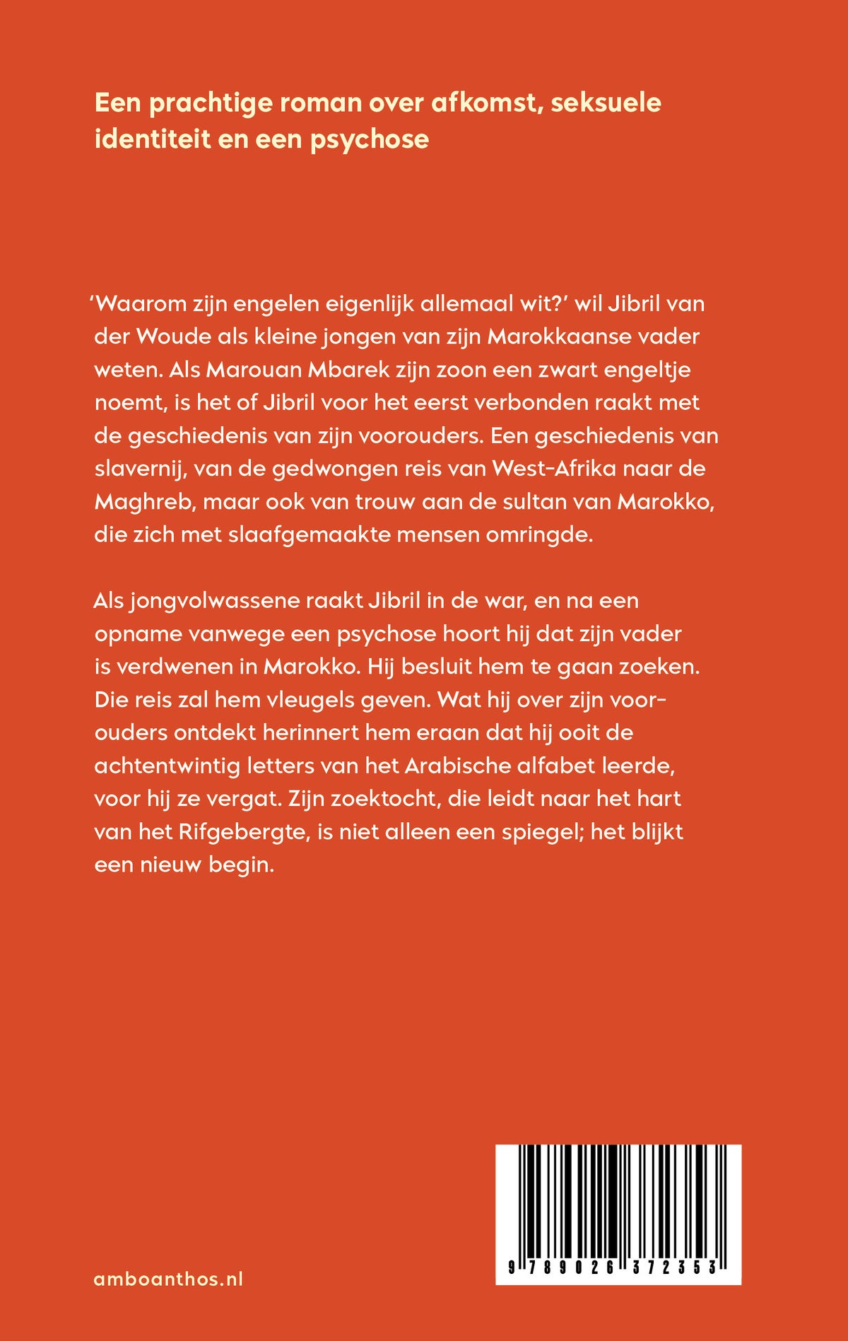 Achtentwintig letters (Paperback) Achtentwintig letters (Paperback)