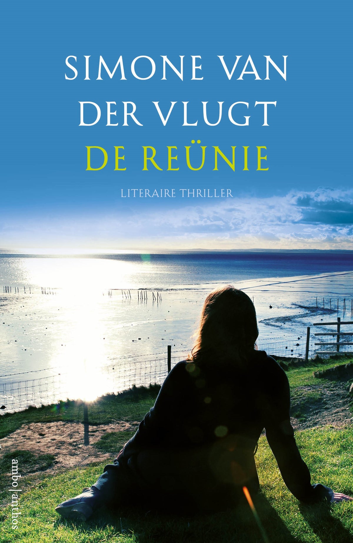 De reünie (Paperback) De reünie (Paperback)