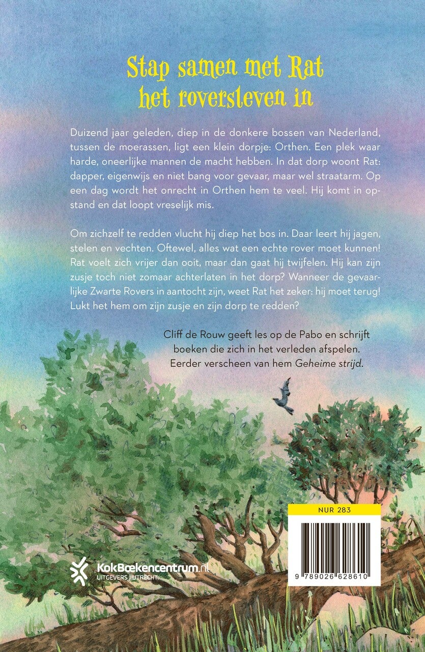 Roversgeheimen (Hardback) Roversgeheimen (Hardback)