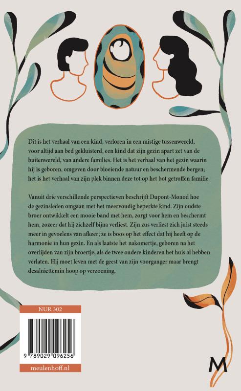 Wat de stenen ons vertellen (Hardback) Wat de stenen ons vertellen (Hardback)