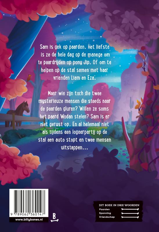 Sam en de paardendieven (Hardback) Sam en de paardendieven (Hardback)