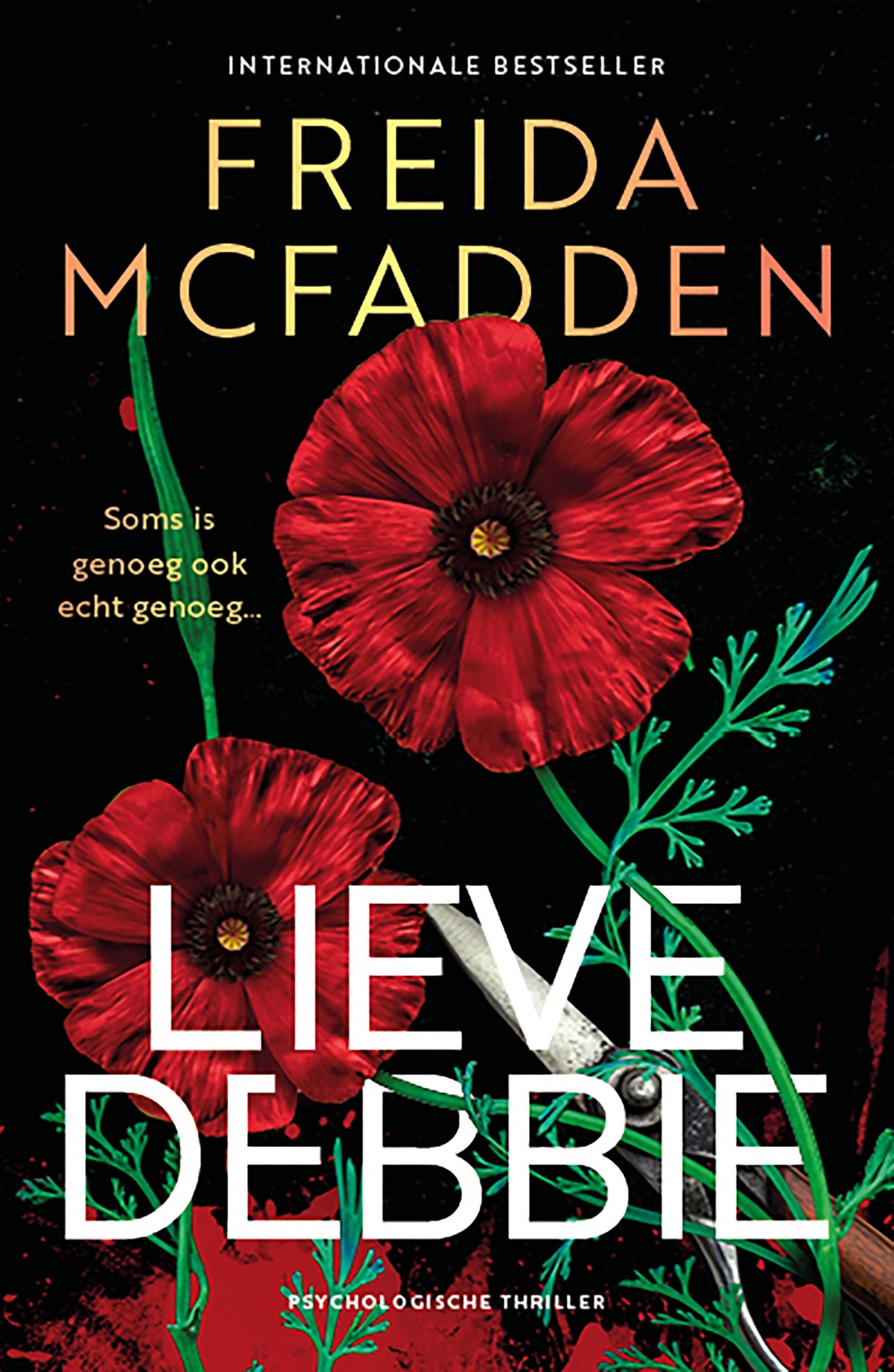 Lieve Debbie (E-book) Lieve Debbie (E-book)