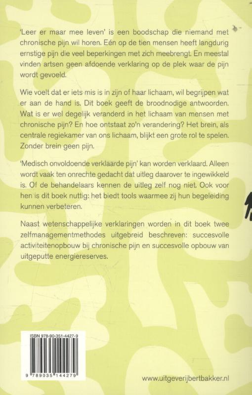 Pijn & het brein (Paperback) Pijn & het brein (Paperback)