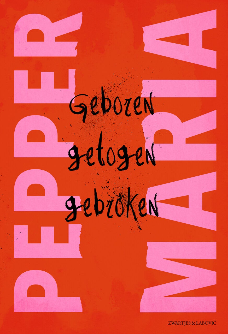 Geboren, getogen, gebroken (E-book) Geboren, getogen, gebroken (E-book)