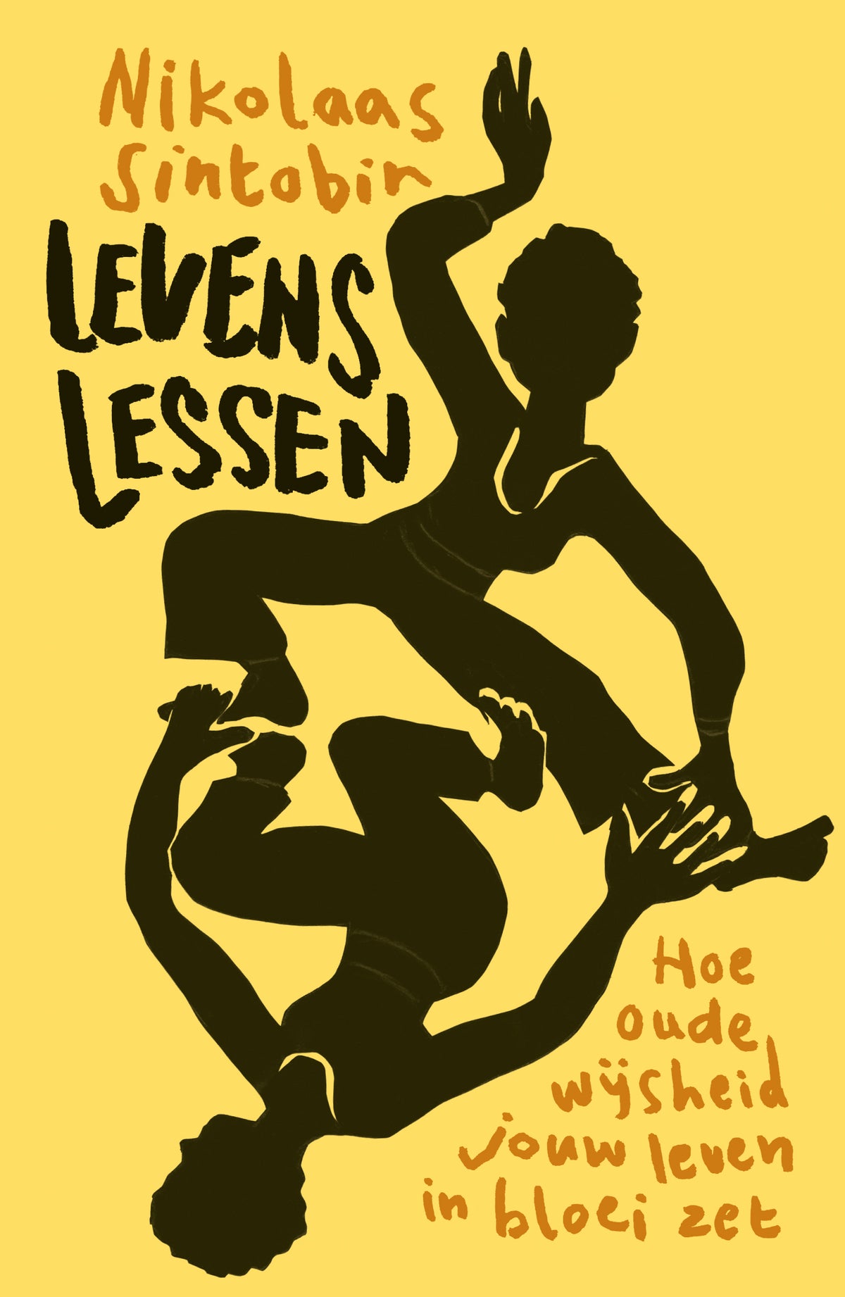 Levenslessen (Hardback) Levenslessen (Hardback)