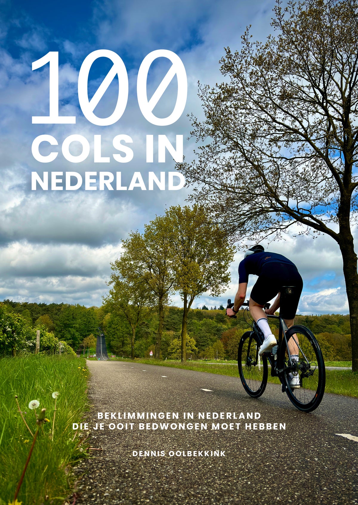100 cols in Nederland (Paperback) 100 cols in Nederland (Paperback)