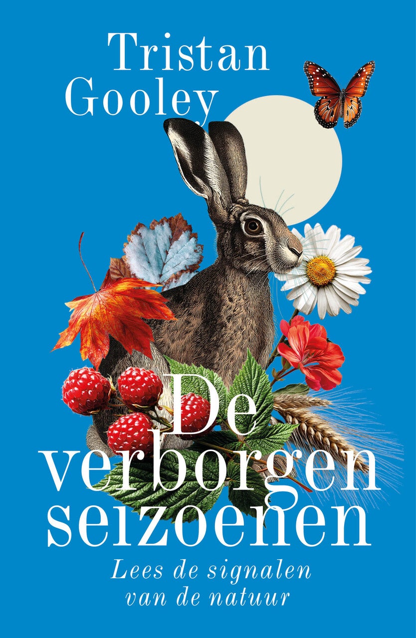 De verborgen seizoenen (Paperback) De verborgen seizoenen (Paperback)