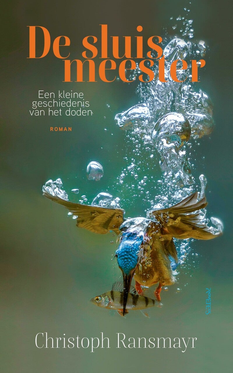 De sluismeester (E-book) De sluismeester (E-book)