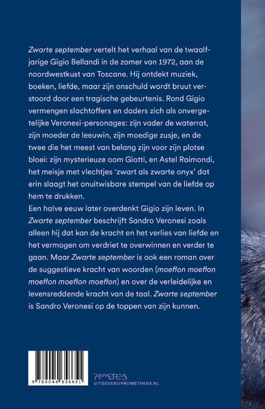 Zwarte september (Paperback) Zwarte september (Paperback)
