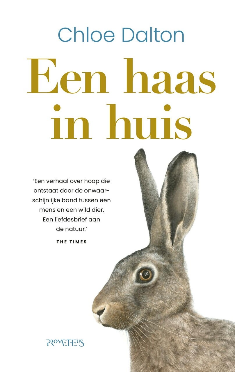 Een haas in huis (E-book) Een haas in huis (E-book)