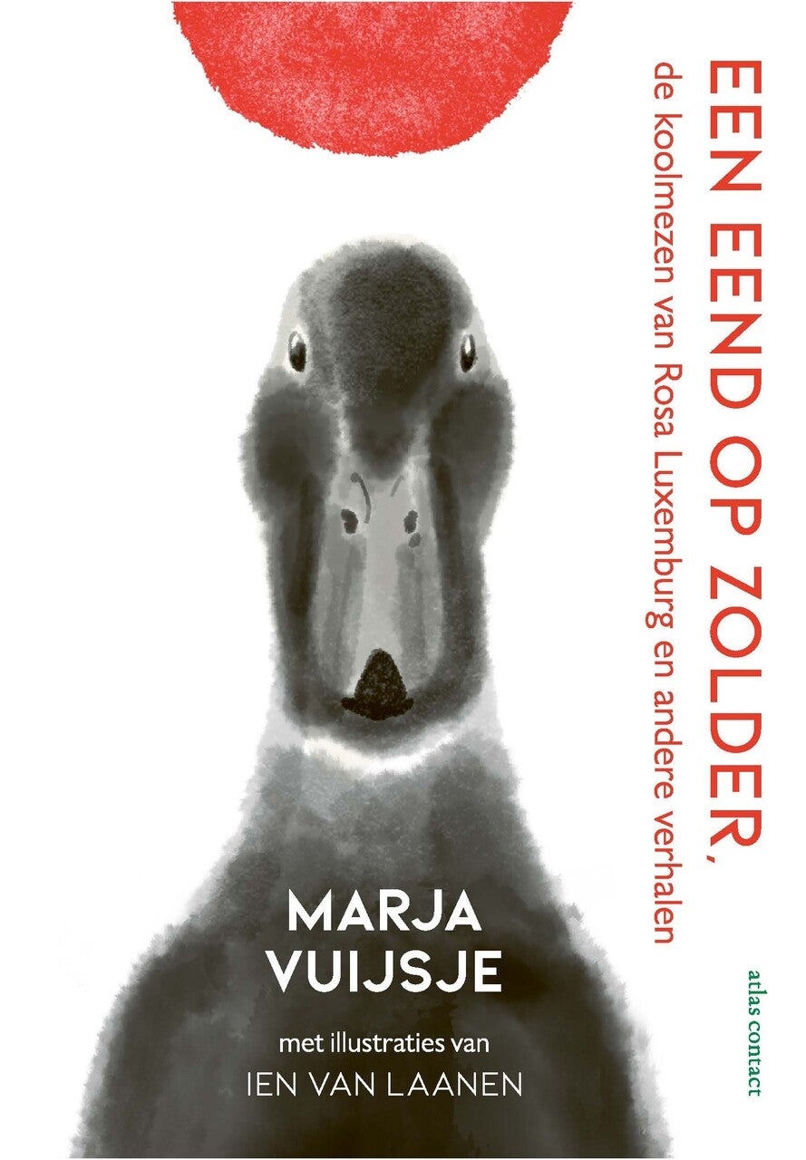 Een eend op zolder (Hardback) Een eend op zolder (Hardback)