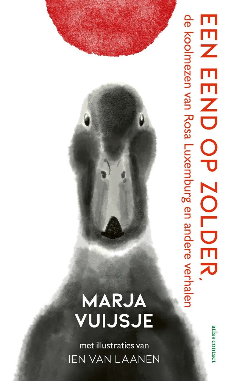 Een eend op zolder (E-book) Een eend op zolder (E-book)