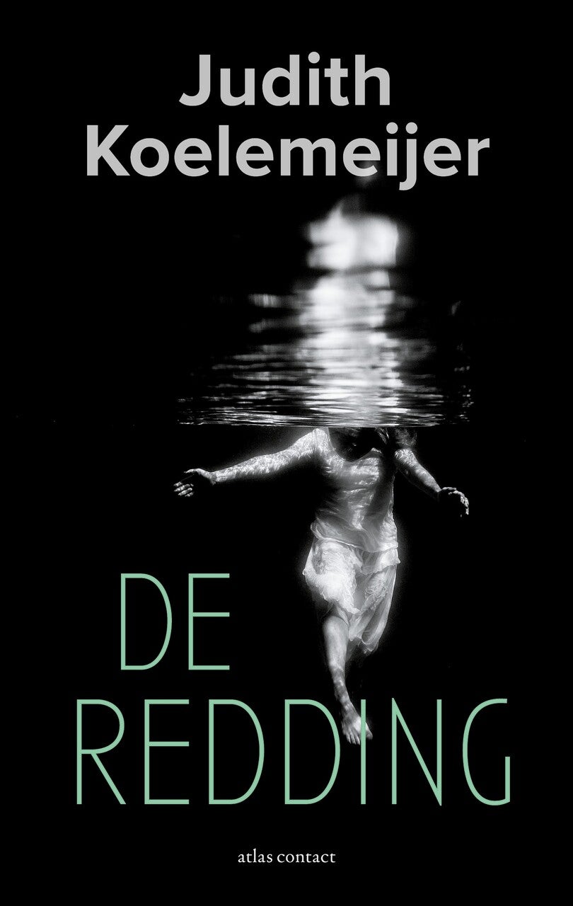 De redding (E-book) De redding (E-book)