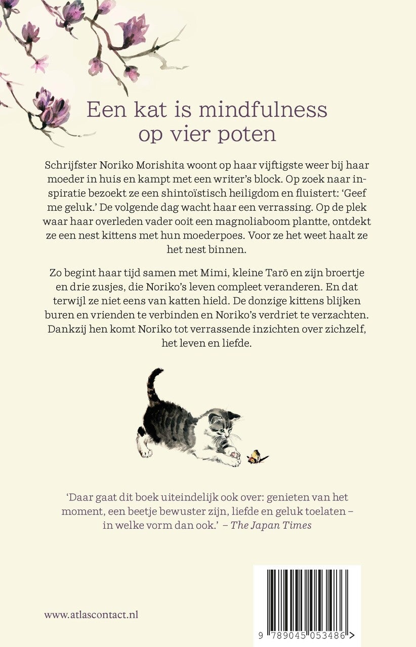 De magnoliakatten (Paperback) De magnoliakatten (Paperback)
