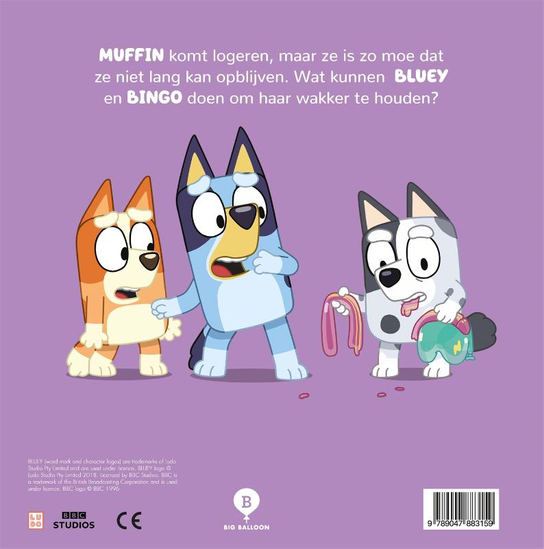 Het logeerpartijtje (Hardback) Het logeerpartijtje (Hardback)