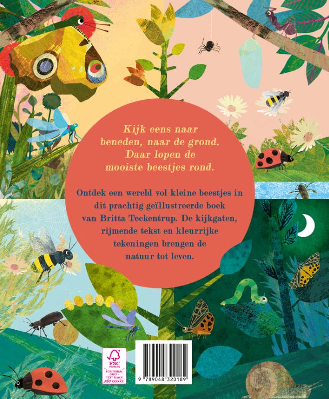 Ontdek de grote wereld van kleine INSECTEN (Hardback) Ontdek de grote wereld van kleine INSECTEN (Hardback)