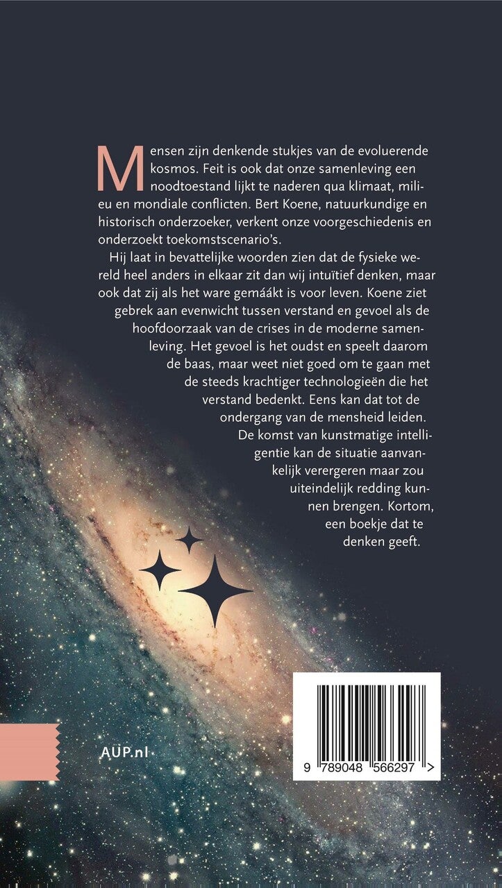 Over de betekenis van ons bestaan (E-book) Over de betekenis van ons bestaan (E-book)