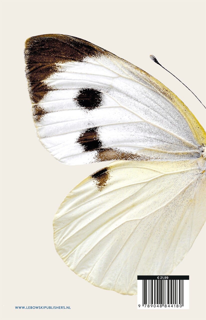 Doet sneeuw pijn (E-book) Doet sneeuw pijn (E-book)