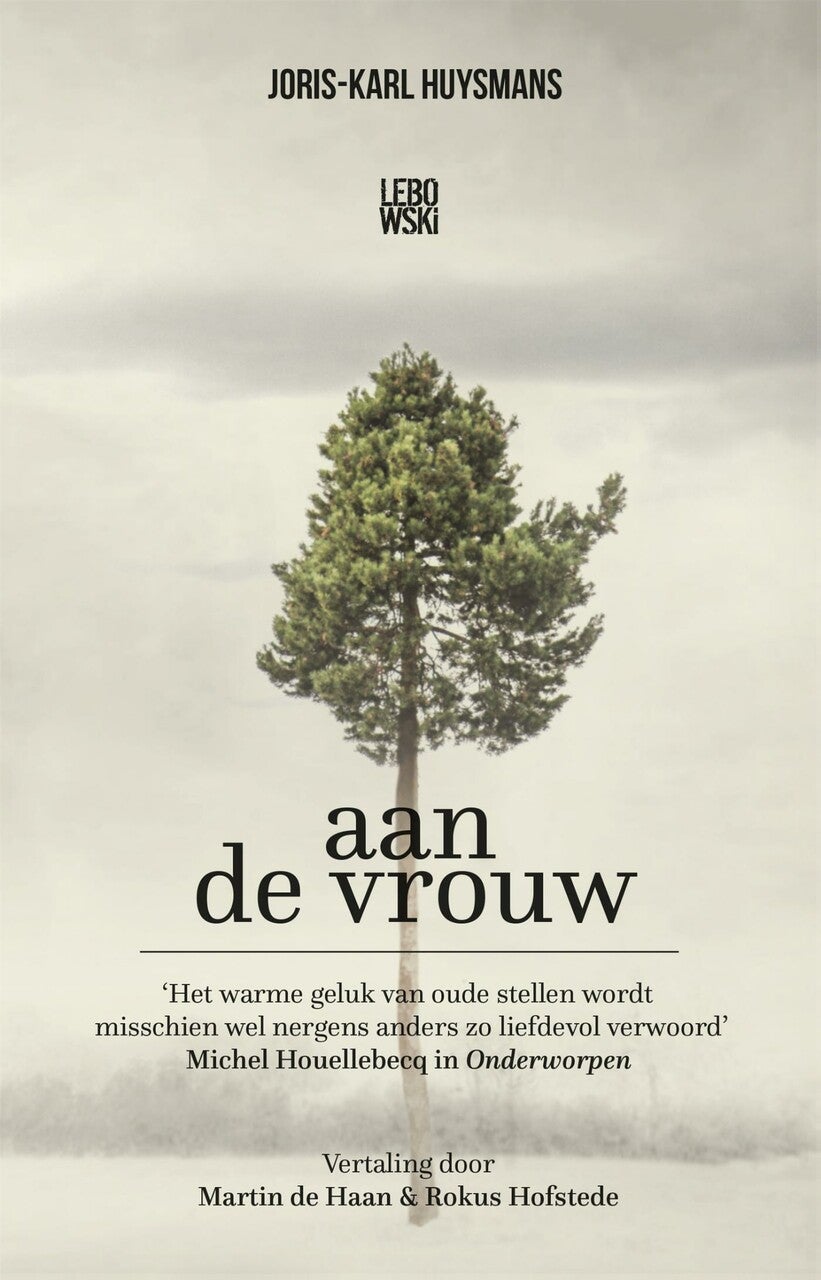 Aan de vrouw (Paperback) Aan de vrouw (Paperback)