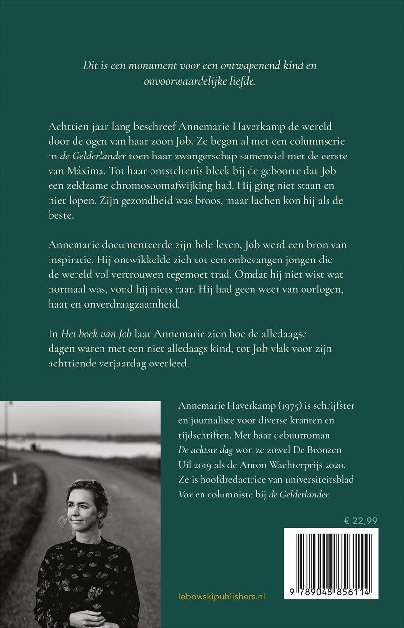 Het boek van Job (E-book) Het boek van Job (E-book)