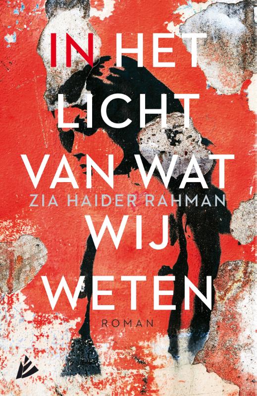 In het licht van wat wij weten (Paperback) In het licht van wat wij weten (Paperback)