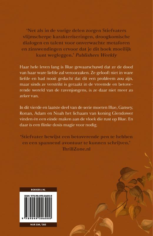 De ravenkoning (Paperback) De ravenkoning (Paperback)