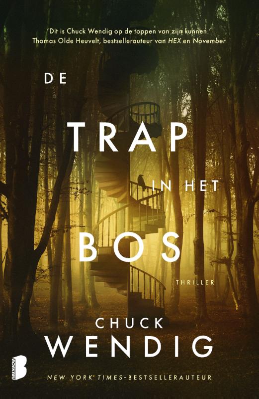 De trap in het bos (Paperback) De trap in het bos (Paperback)