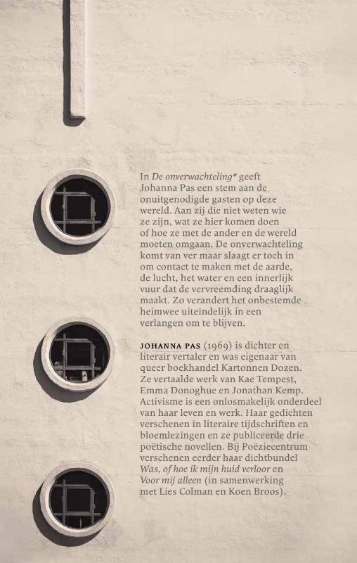 De onverwachteling* (Paperback) De onverwachteling* (Paperback)