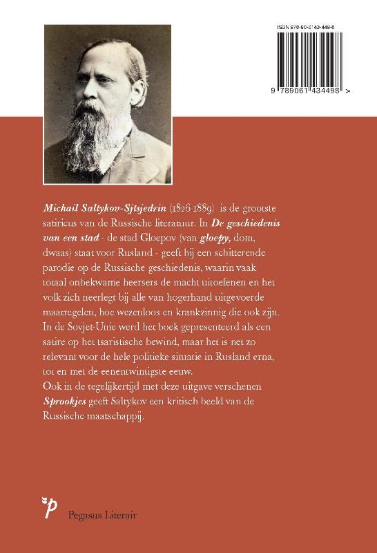 De geschiedenis van een stad (Paperback) De geschiedenis van een stad (Paperback)