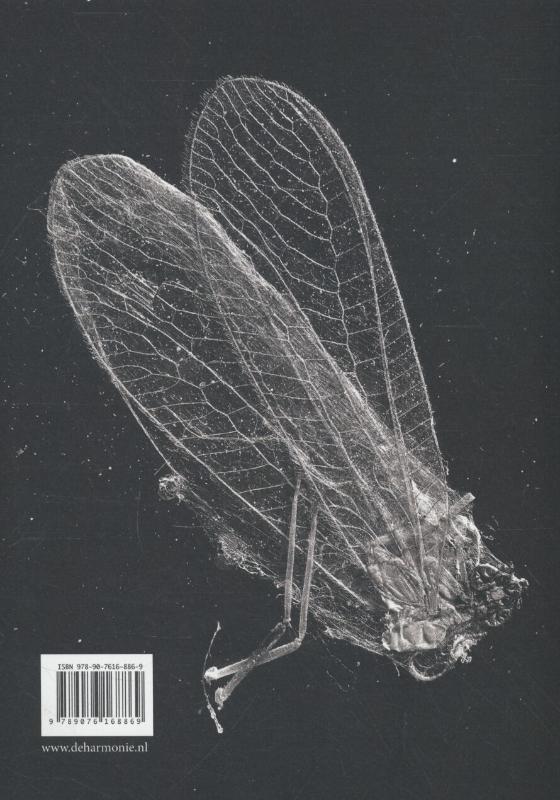 Hier kijken we naar (Paperback) Hier kijken we naar (Paperback)