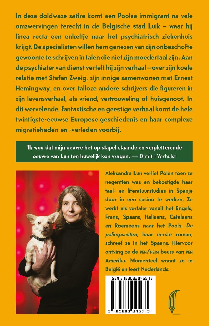 De palimpsesten (E-book) De palimpsesten (E-book)