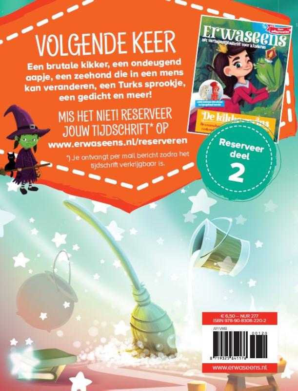De tovenaarsleerling (Paperback) De tovenaarsleerling (Paperback)