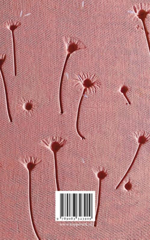 Moedermelk (Paperback) Moedermelk (Paperback)