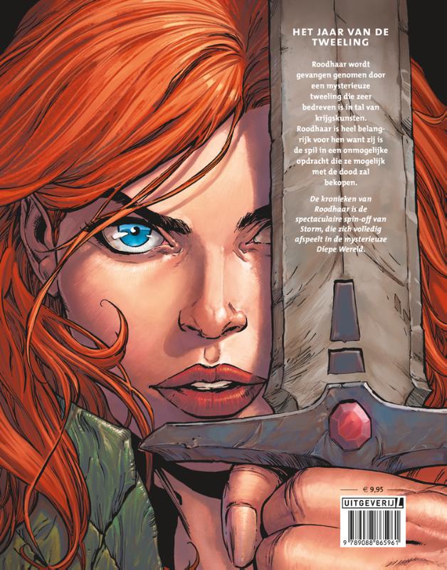 Het jaar van de Tweeling (Paperback) Het jaar van de Tweeling (Paperback)