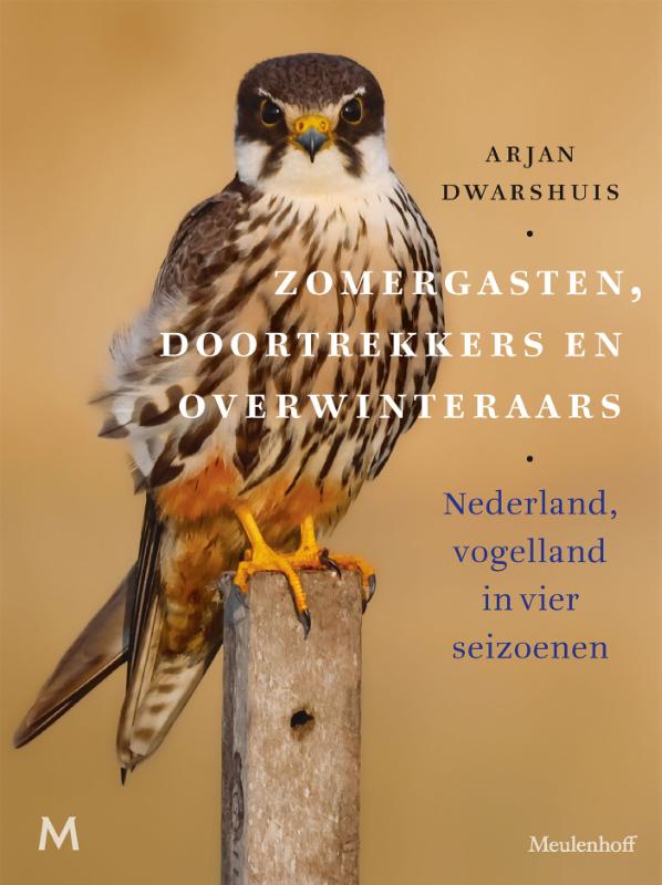 Zomergasten, doortrekkers en overwinteraars (Paperback) Zomergasten, doortrekkers en overwinteraars (Paperback)