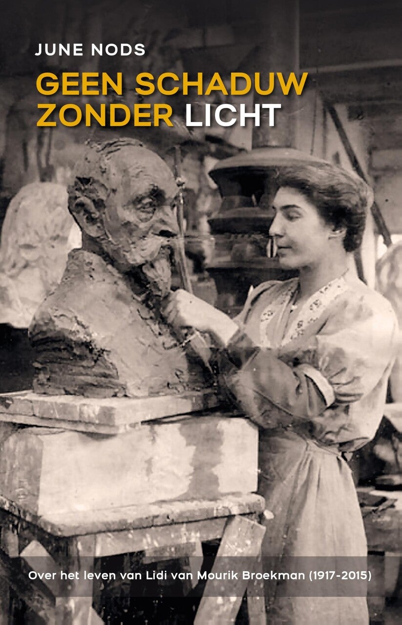 Geen schaduw zonder licht (E-book) Geen schaduw zonder licht (E-book)