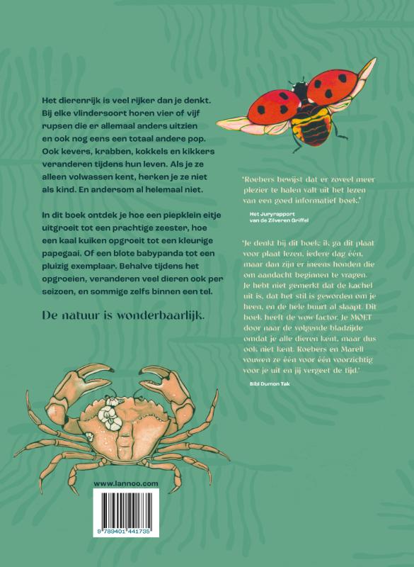 Metamorfose (Hardback) Metamorfose (Hardback)