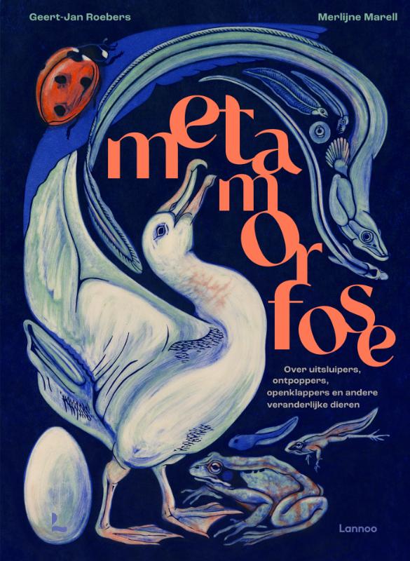 Metamorfose (Hardback) Metamorfose (Hardback)