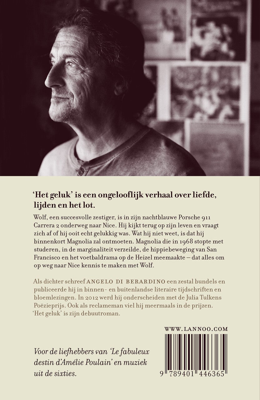 Het geluk (E-book) Het geluk (E-book)