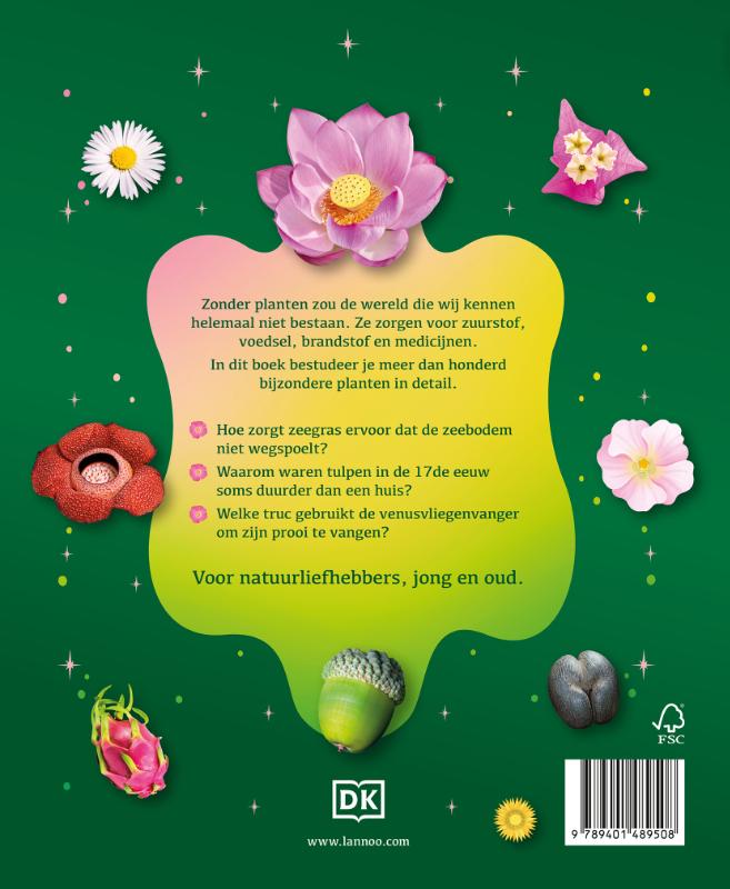 De geheime wereld van planten (Hardback) De geheime wereld van planten (Hardback)