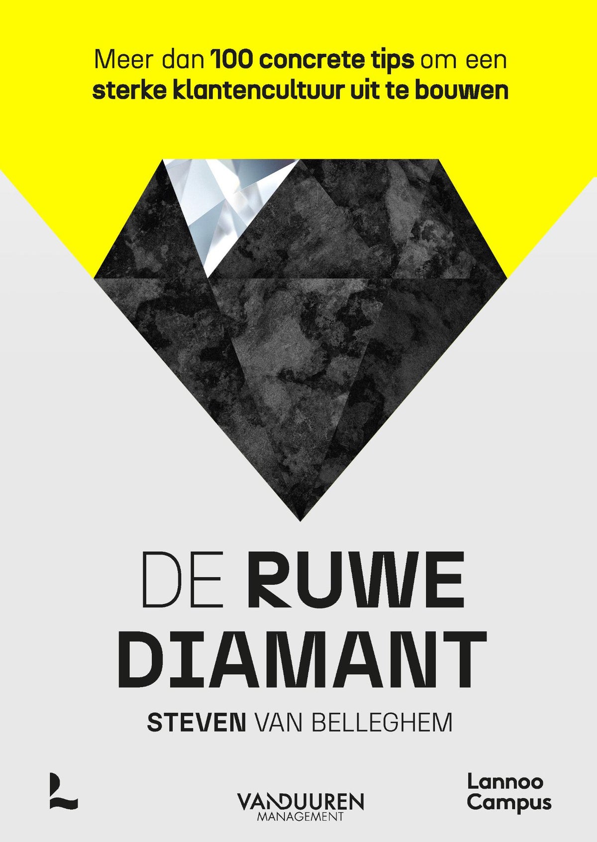 De ruwe diamant (E-book) De ruwe diamant (E-book)
