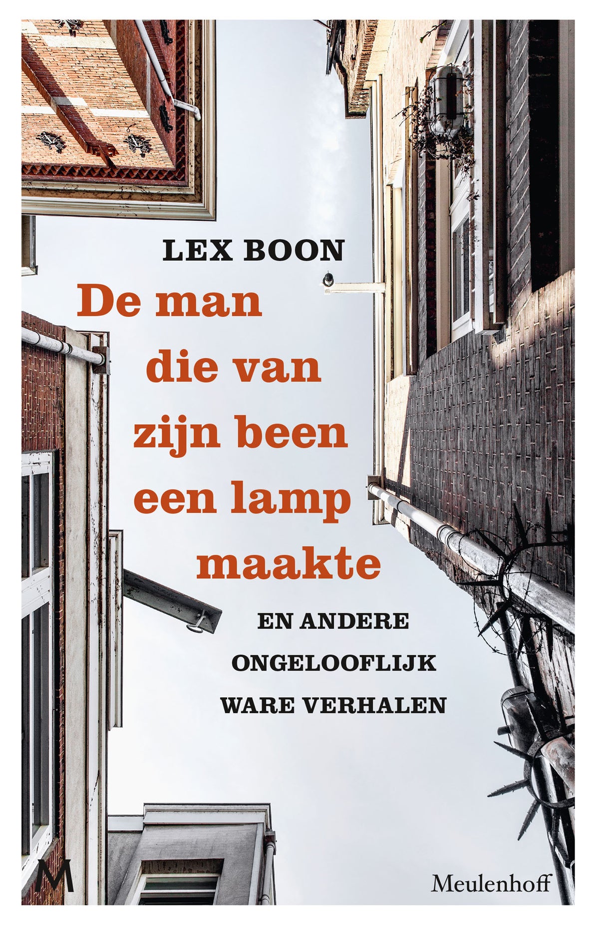 De man die van zijn been een lamp maakte (E-book) De man die van zijn been een lamp maakte (E-book)