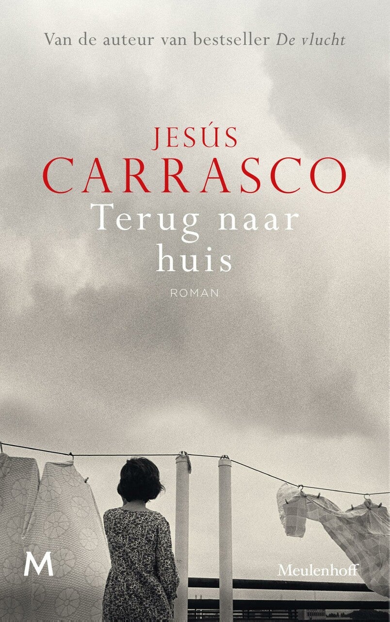 Terug naar huis (E-book) Terug naar huis (E-book)