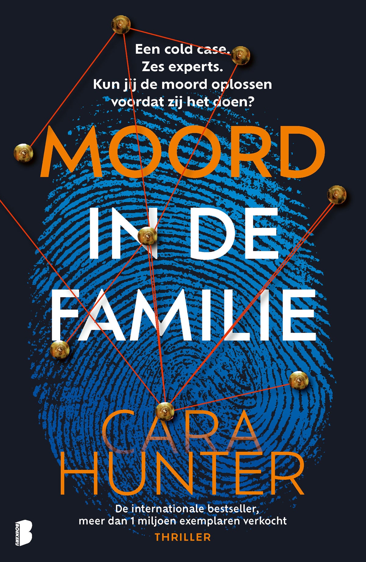 Moord in de familie (E-book) Moord in de familie (E-book)