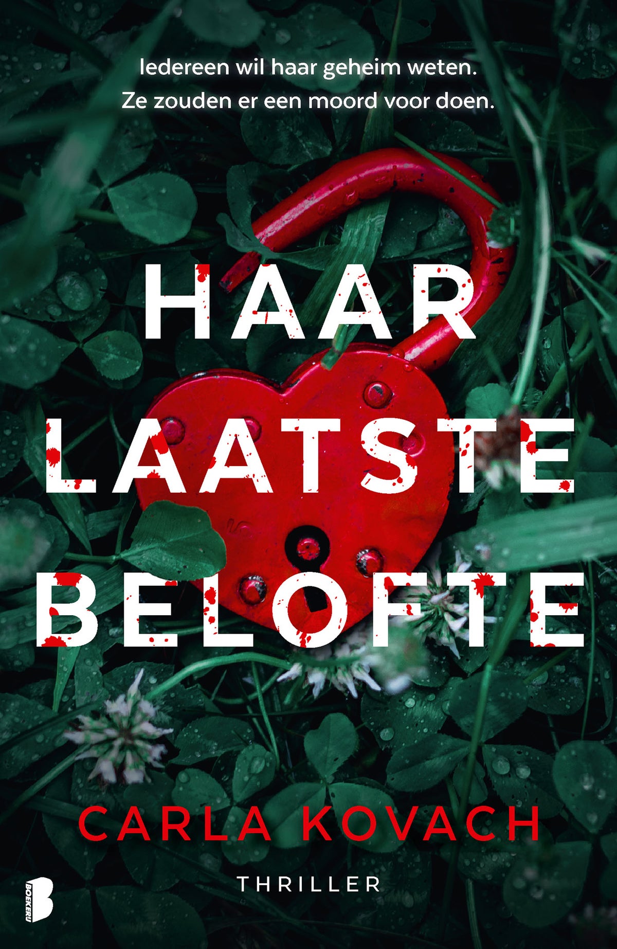 Haar laatste belofte (E-book) Haar laatste belofte (E-book)