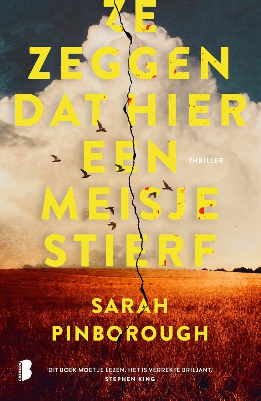 Ze zeggen dat hier een meisje stierf (E-book) Ze zeggen dat hier een meisje stierf (E-book)