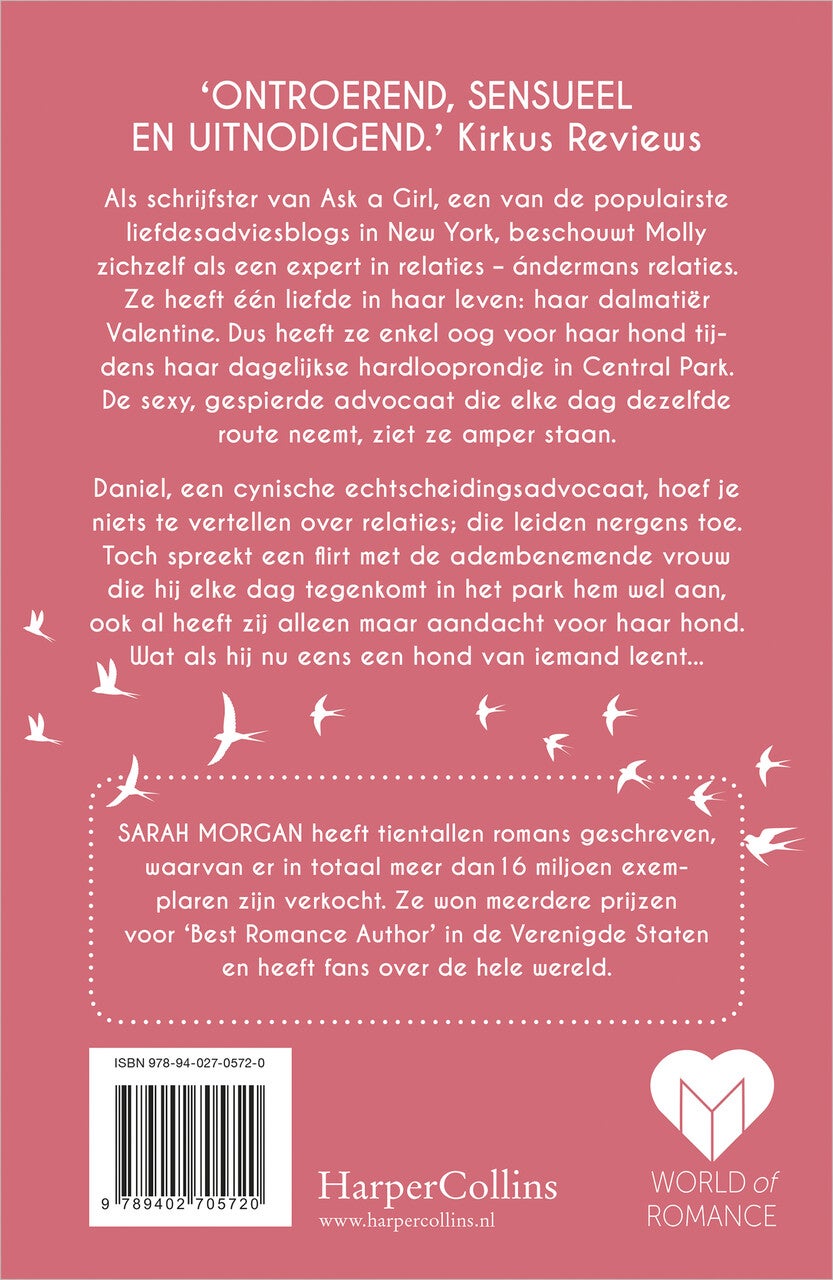Dromen in de ochtendzon (E-book) Dromen in de ochtendzon (E-book)