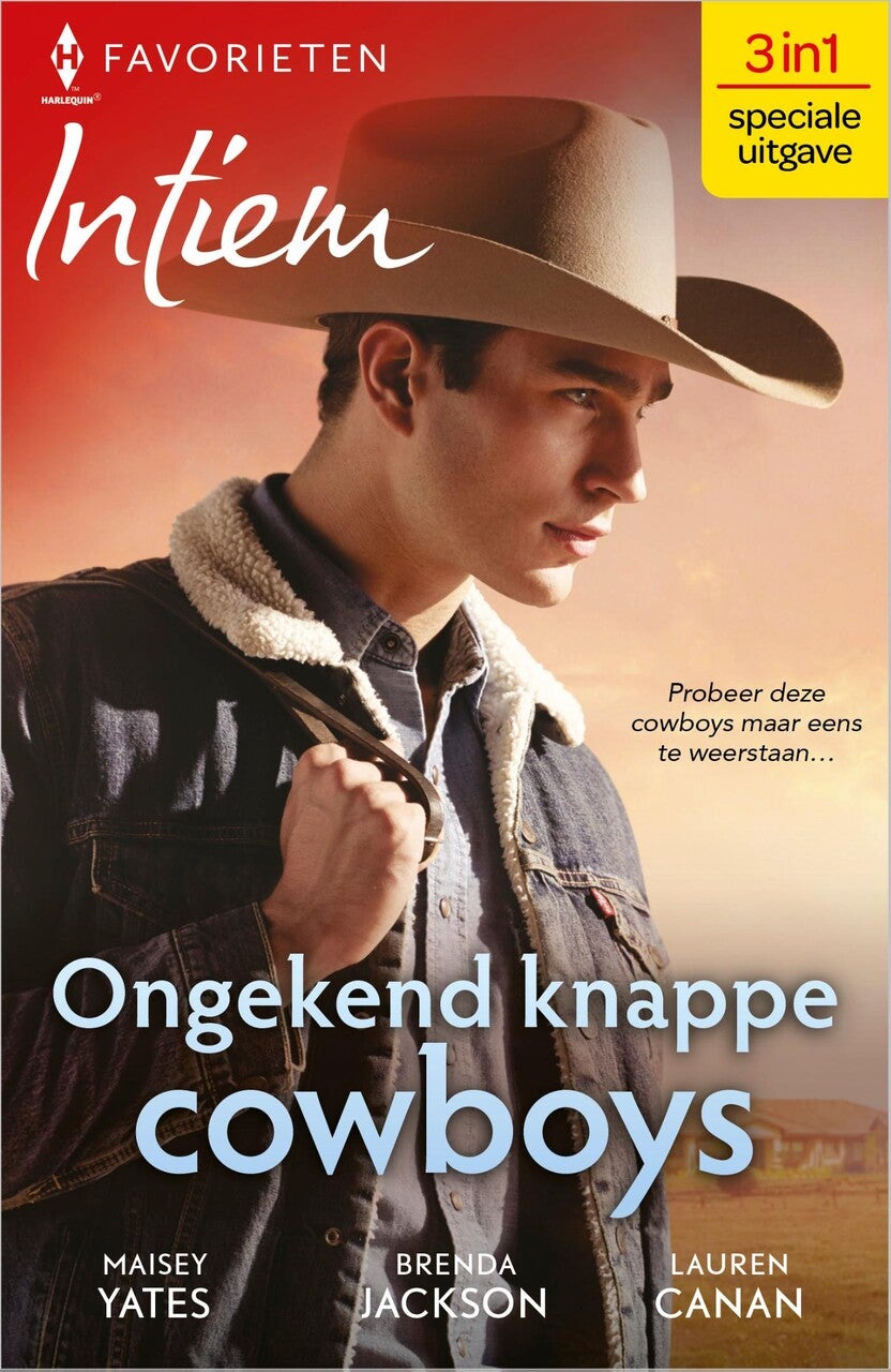 Ongekend knappe cowboys (E-book) Ongekend knappe cowboys (E-book)