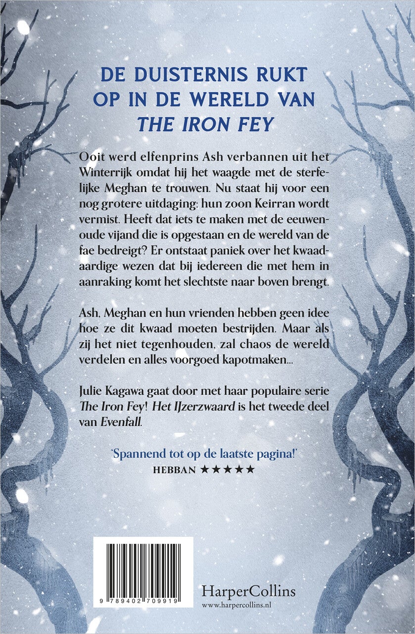 Het IJzerzwaard (E-book) Het IJzerzwaard (E-book)